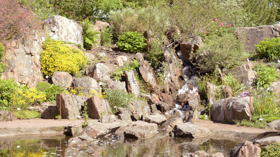 Botaniskas stenarbeten